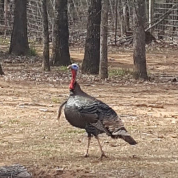 Meet your Posher, Stephen - Picture 1 of 1